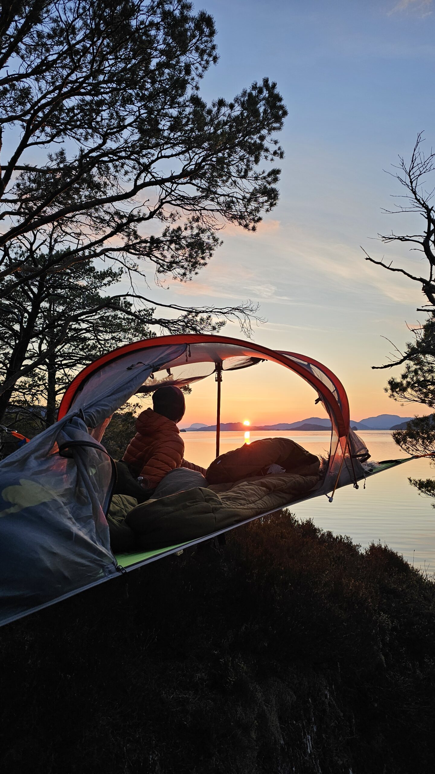 Sun set tree tenting